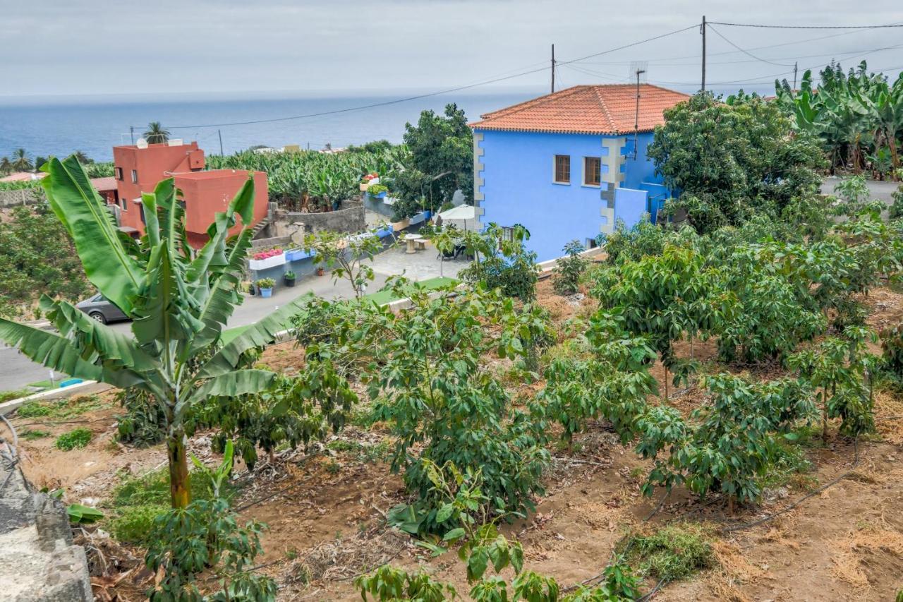 Casa Las Canas Icod De Los Vinos Buitenkant foto